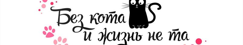 Ехидна